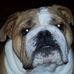 Deb Mohr - Facebook