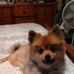 Deb Morey - Facebook