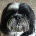 Debby Morey - Facebook