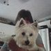 Deborah Morey - Facebook