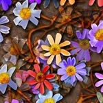 Deb Morris - @deb.morris.144 - Instagram