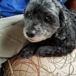 Deb Morris - @deb.morris.3 - Instagram