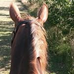 Deb Morris - @deb.morris.1044 - Instagram