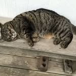 Deb Morris - @deb.morris - Instagram