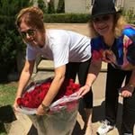 Deb Morris - @tube4mj - Instagram