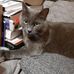 Deborah Morris - Facebook