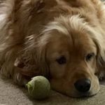 Deb Morrison - @deedeeboston - Instagram