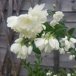 Deb Morrison - @debjmorrisondm - Instagram