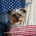Deb Morrow - Facebook