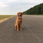 Deb Morrow - @debmorrow63 - Instagram