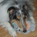 Deb Morse - Facebook
