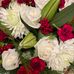 Deb Morse - Facebook
