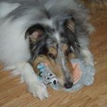 Deb Morse - @morserescuefarm - Instagram