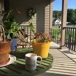 Deb Morse - @walrusmom - Instagram