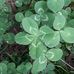 Deborah Morse - Facebook
