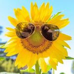 Deb Richards Neal - @debneal7376 - Instagram