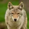Deb Newman - @deb.newman - TikTok
