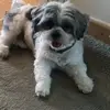 deb.ogden - @deb.ogden - TikTok