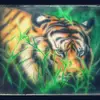 Debra Ogden - @debra.ogden6 - TikTok