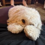 Deb Osborn - @ddcdsosborn - Instagram