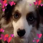 Deb Osborn - @deb.osborn.3 - Instagram
