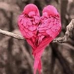 Deb Osborn-Mcglone - @osbornmcglone - Instagram