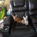 Deb Osborne - @osborne.deb - Instagram