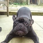 Deb Osborne - @debosborne2021 - Instagram