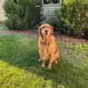 debosborne80 - @debosborne80 - TikTok