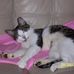 Deb Parker - Facebook