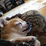 Deb Paterson - @deb.paterson.3 - Instagram