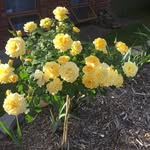 Deb Paterson - @deb.pat - Instagram