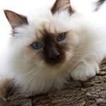 Deb Paterson - @deb.p22 - Instagram