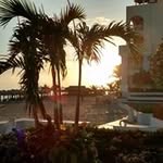 Deb Patterson - @leedee2818 - Instagram