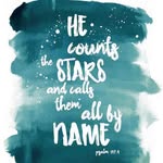 Deb Patterson - @debpwsucougs - Instagram