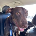 Debra Payne - @debpayne2010 - Instagram