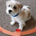 Debbie Pease - Facebook