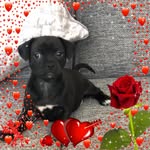 Deb Phillips - @debphillips9305 - Instagram