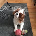 Deb Phillips - @debphillips406 - Instagram