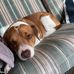 Deb Pierce - Facebook