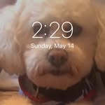Deb Porter - @_deb_porter_ - Instagram
