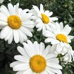 Deb Porter - @breathfreshair - Instagram