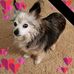 Deb Potts - Facebook