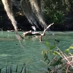 Deb Preston - @deboftheblue - Instagram