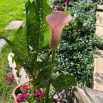 Deb Preston - @deb1089 - Instagram