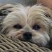 Deb Rasmussen - Facebook