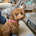 Deb Rasmussen - @deb.rasmussen.9674 - Instagram