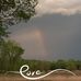 Deb Reed - Facebook