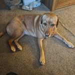 Deb Richard - @deb.richard.9 - Instagram