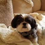 Deb Richard - @deb.richard.501 - Instagram